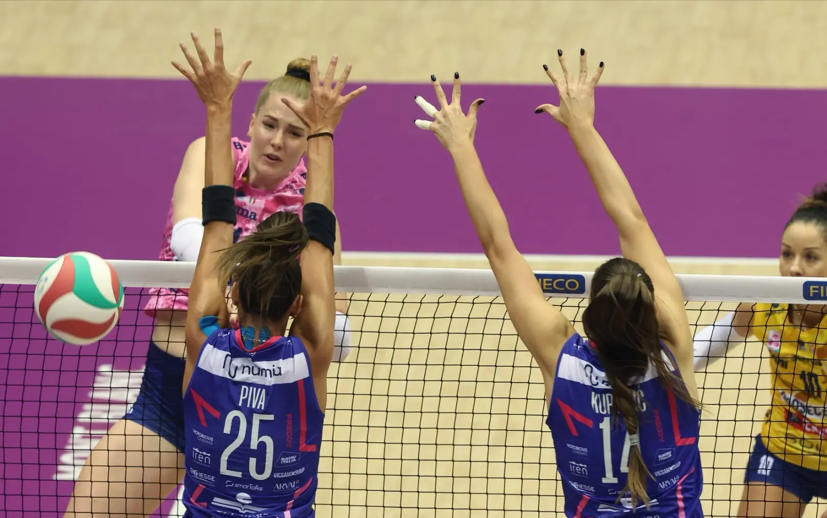 诺女排面对, entit 诺女排面对, entit